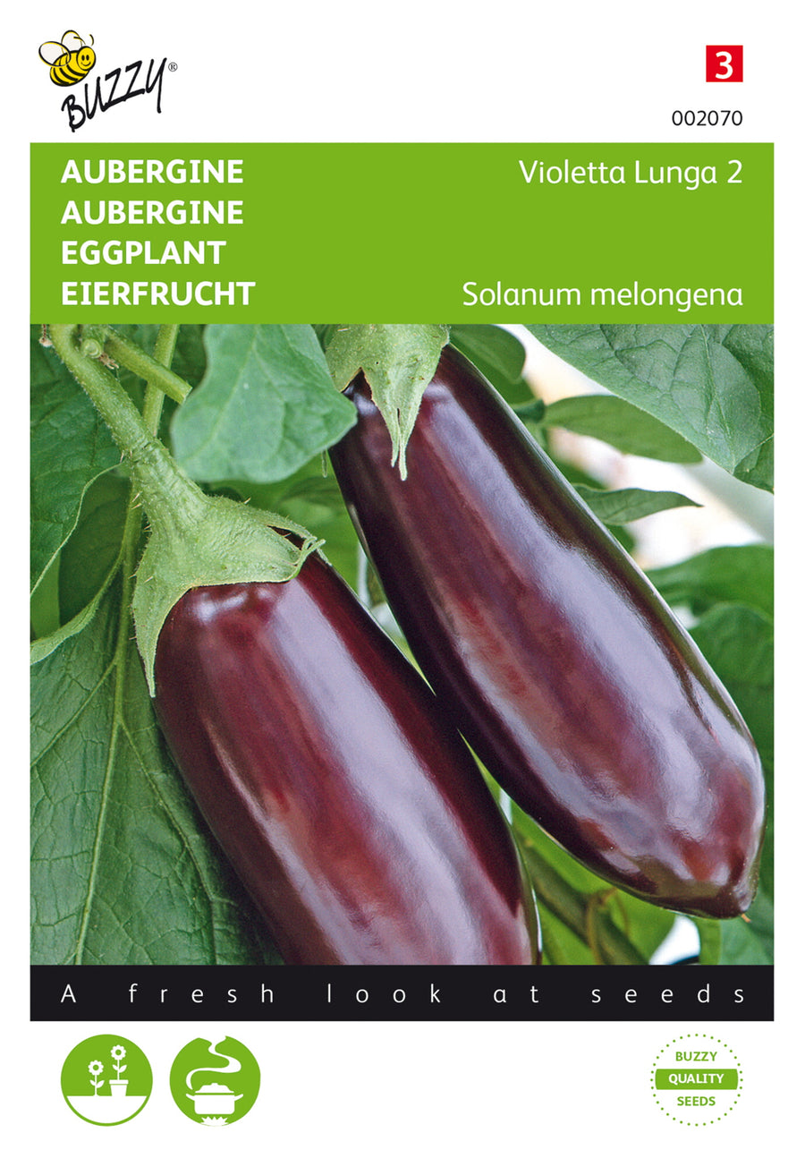 Aubergine Violetta Lunga 2