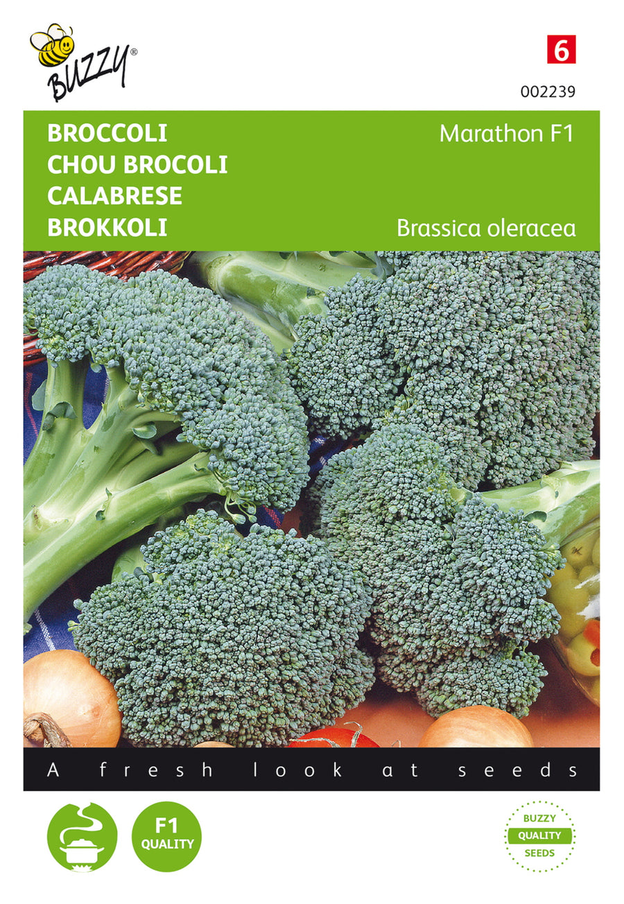 Broccoli Marathon F1