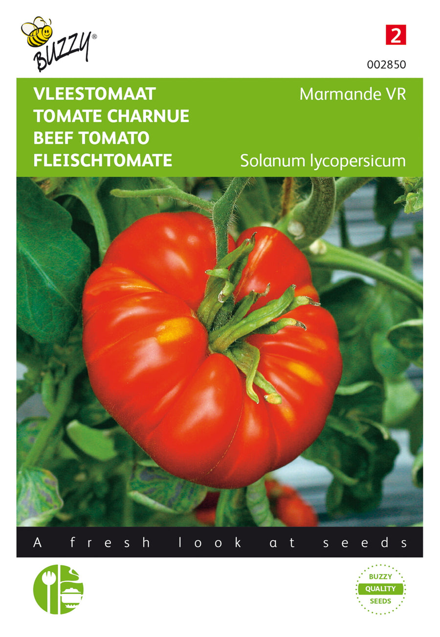 Tomaat Marmande VR