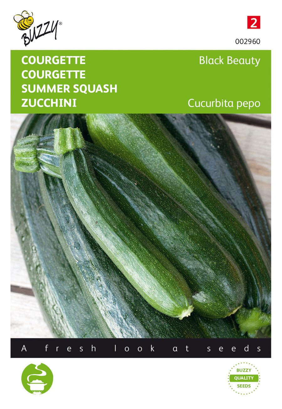 Courgette Black Beauty </b><BR> Verte De Milan