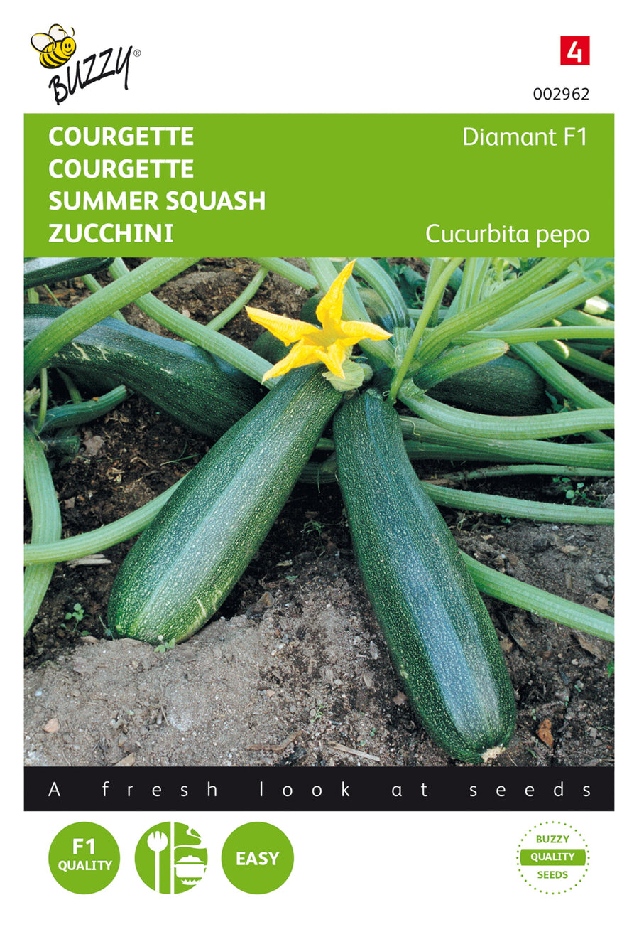 Courgette Diamant F1