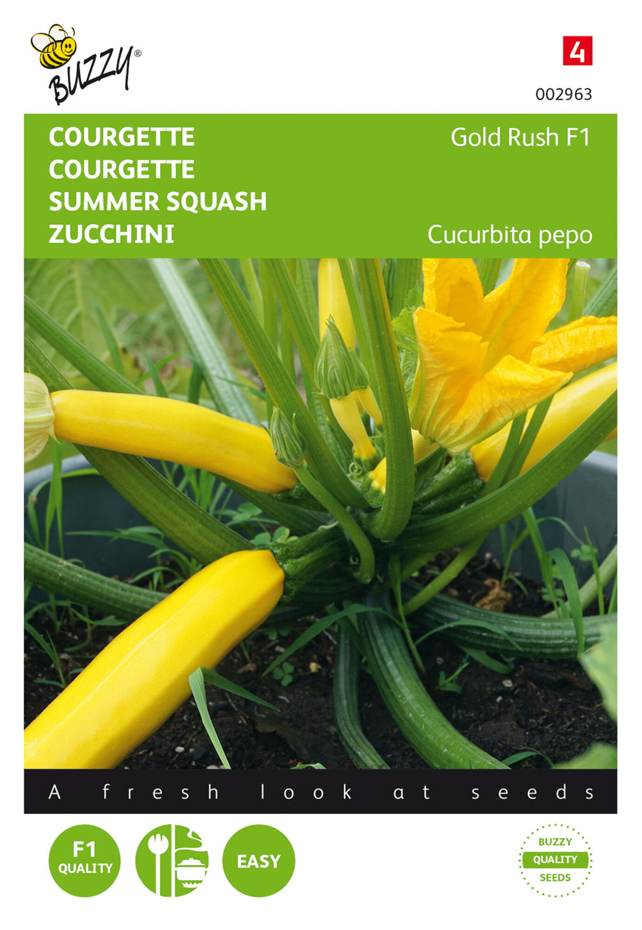 Courgette Gold Rush F1