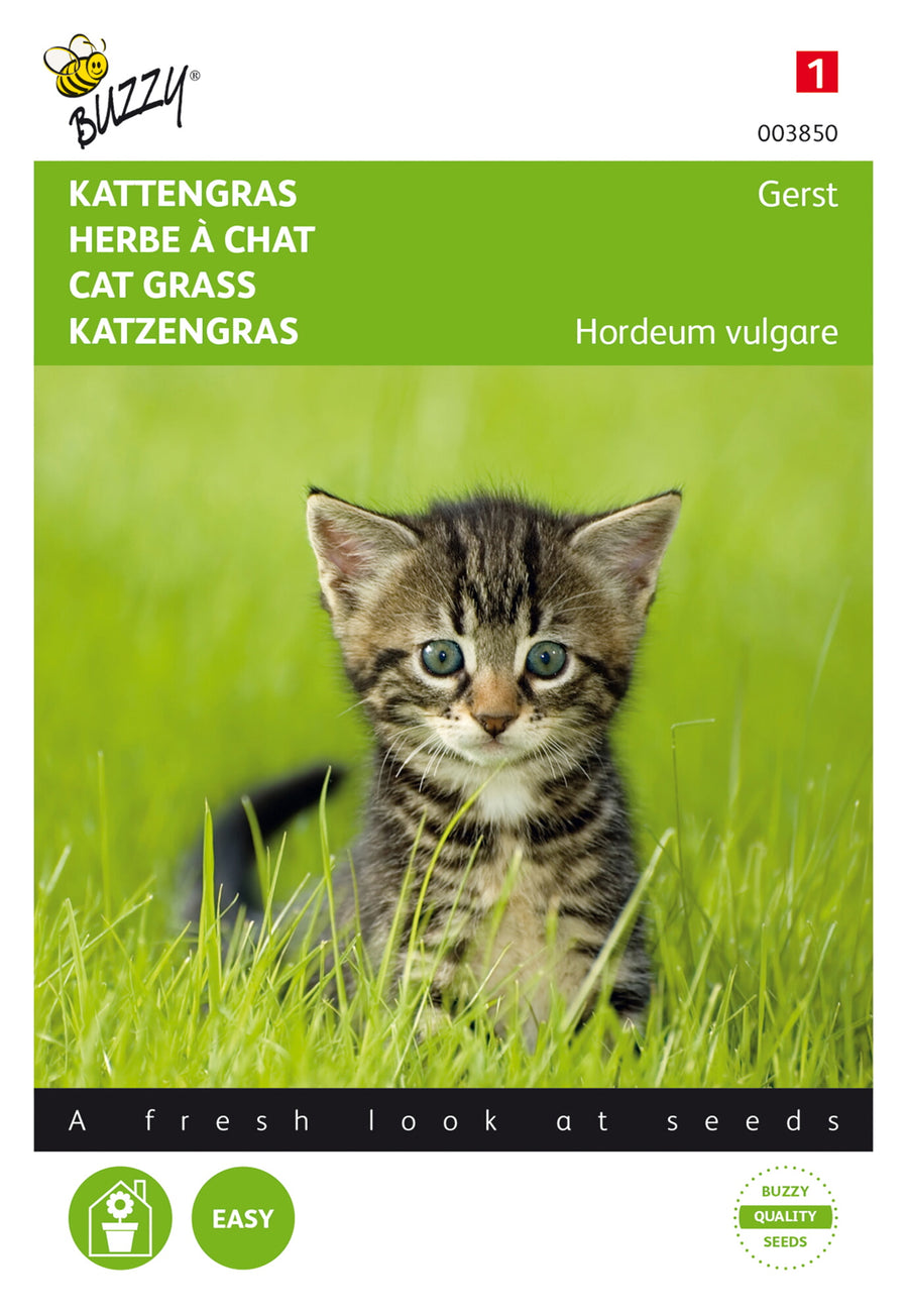 Kattengras