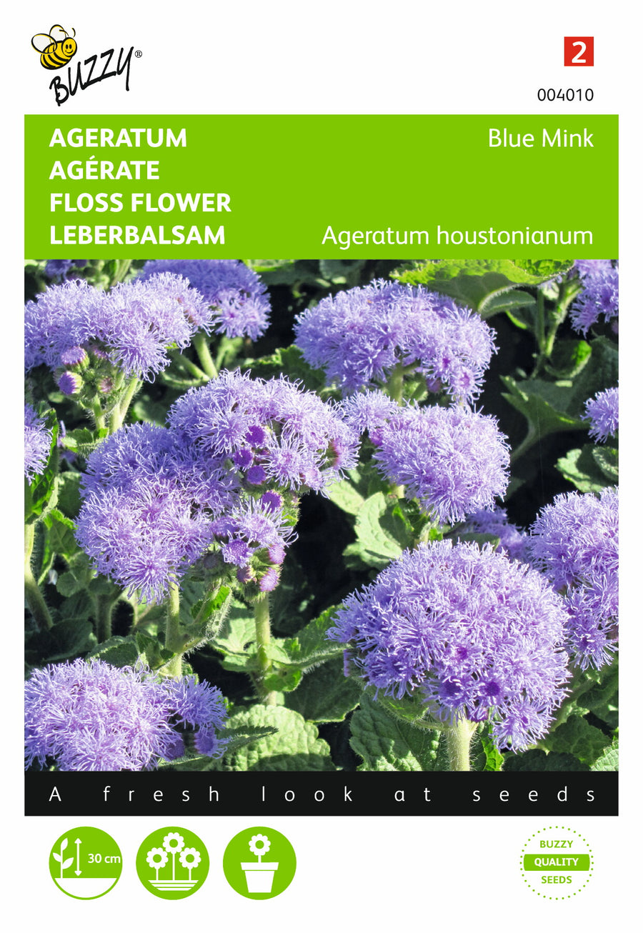 Ageratum, Leverbalsem Blue Mink