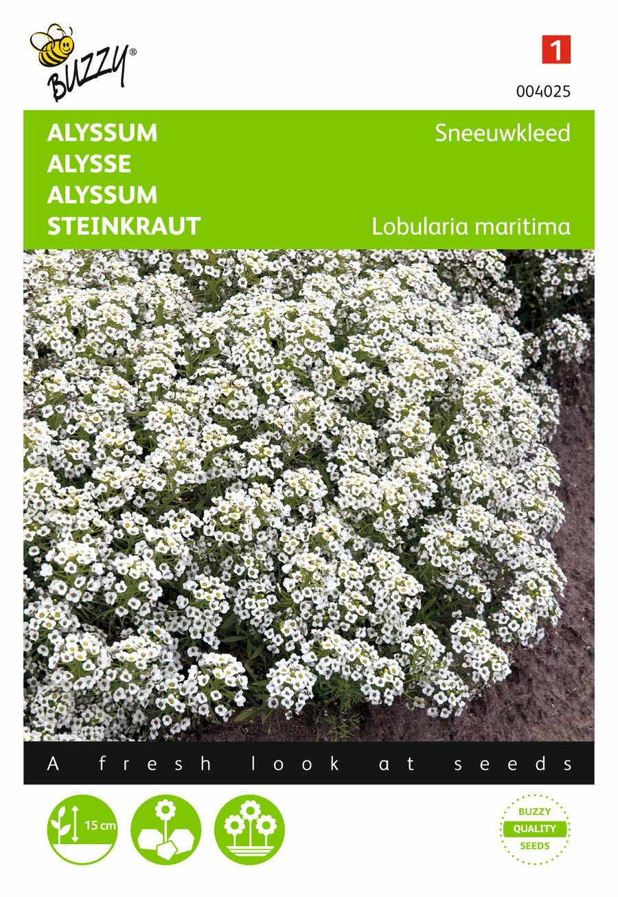 Alyssum Sneeuwkleed