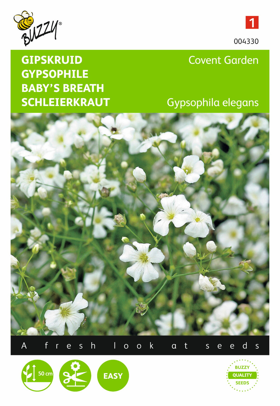 Gypsophila, Gipskruid Covent Garden