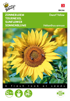 Helianthus, lage Zonnebloem Yellow