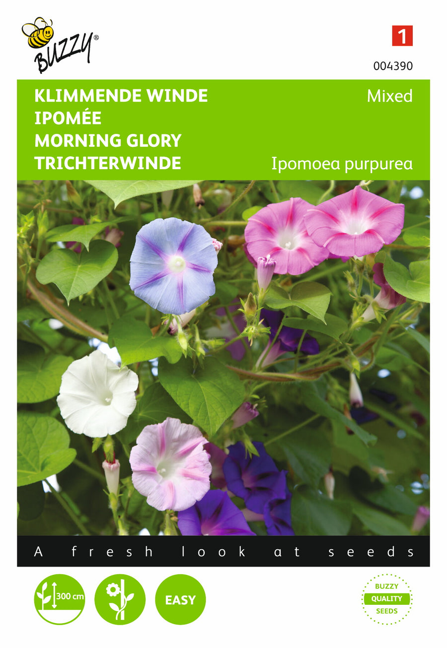 Ipomoea, Klimmende winde gemengd