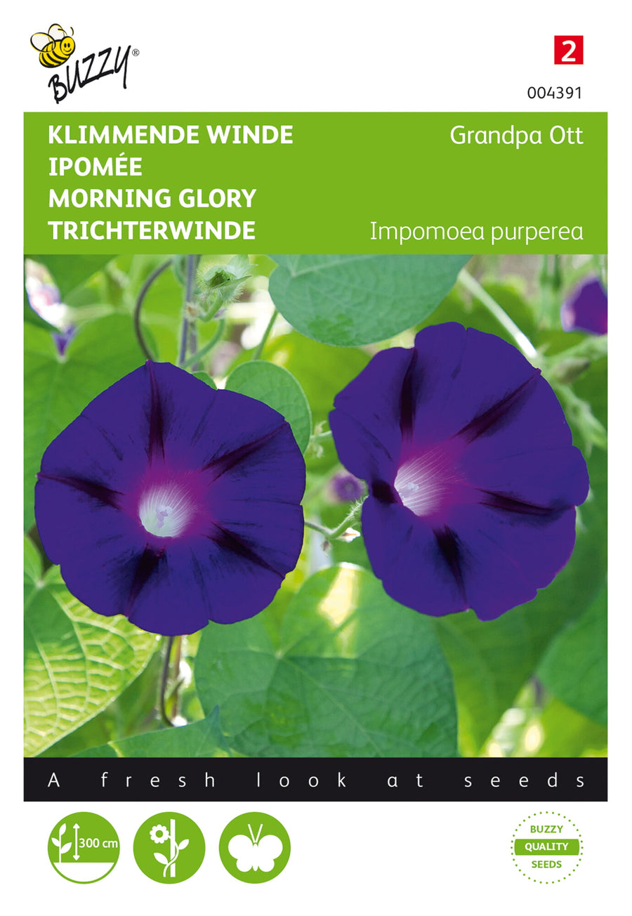 Ipomoea, Klimmende winde Grandpa Ott