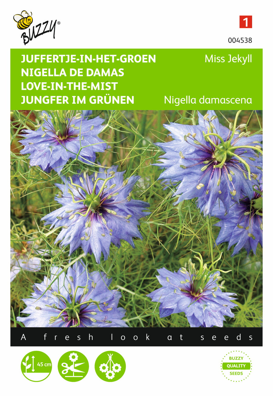 Nigella, Juffertje-in-het-groen Miss Jekyll blauw