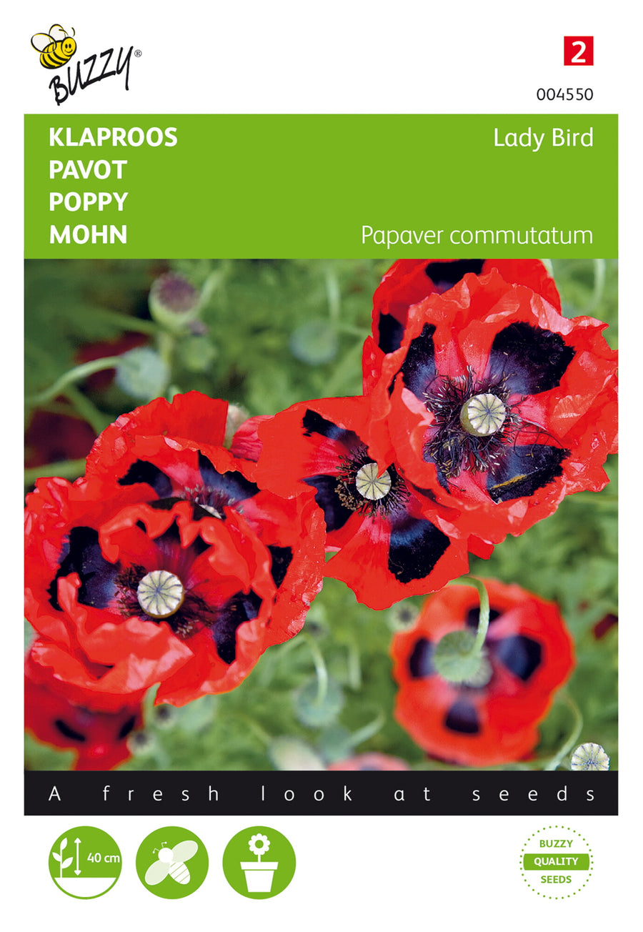 Papaver, Klaproos Lady Bird