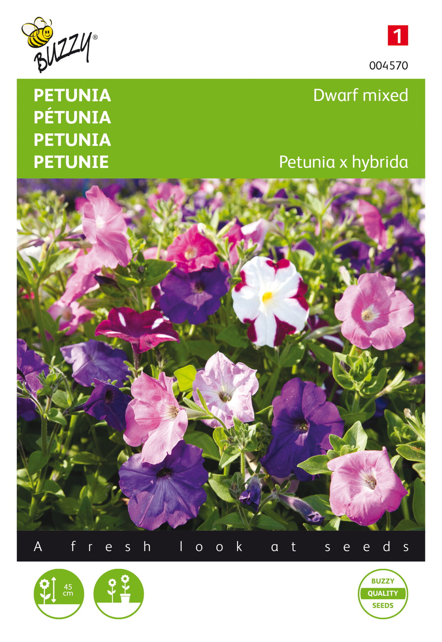 Petunia laag gemengd