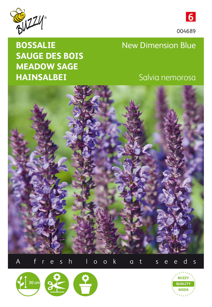 Salvia, Bossalie New Dimension Blue