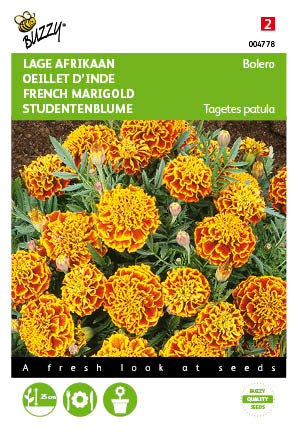 Tagetes, lage Afrikaan Bolero