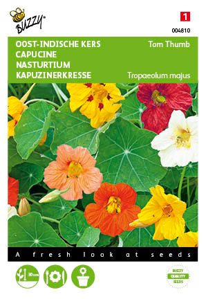 Tropaeolum, Oost-Indische kers Tom Thumb gemengd