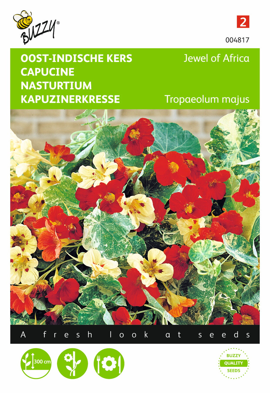 Tropaeolum, Oost-Indische kers Jewel of Africa