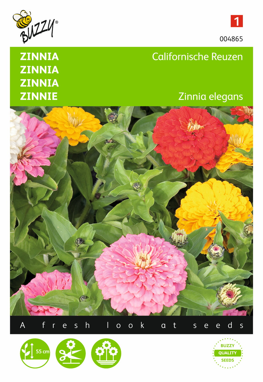 Zinnia Californische Reuzen gemengd