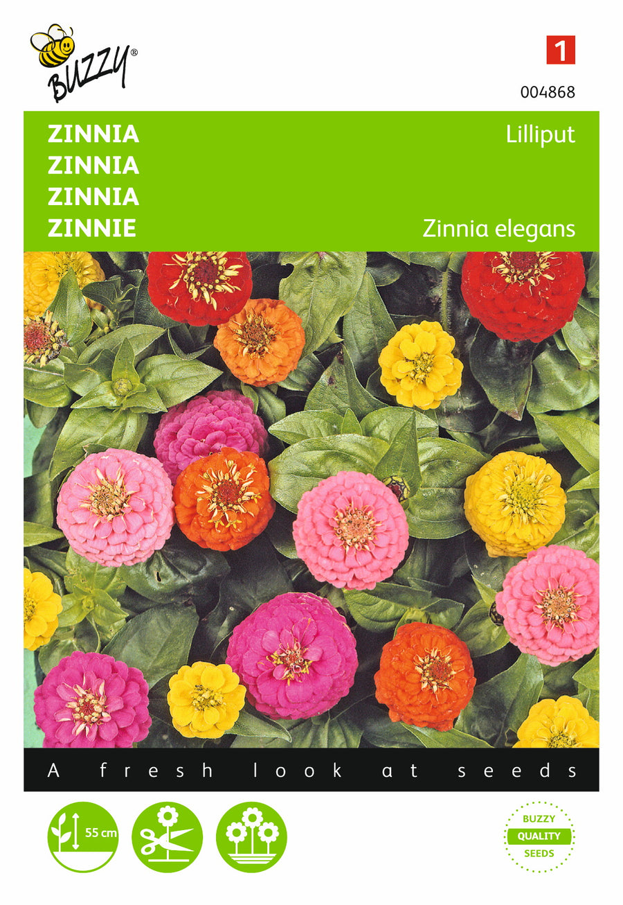 Zinnia Lilliput gemengd