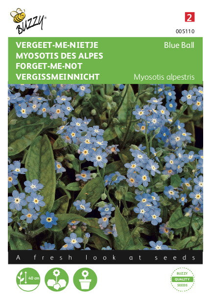 Myosotis, 'vergeet-me-nietje' blauw