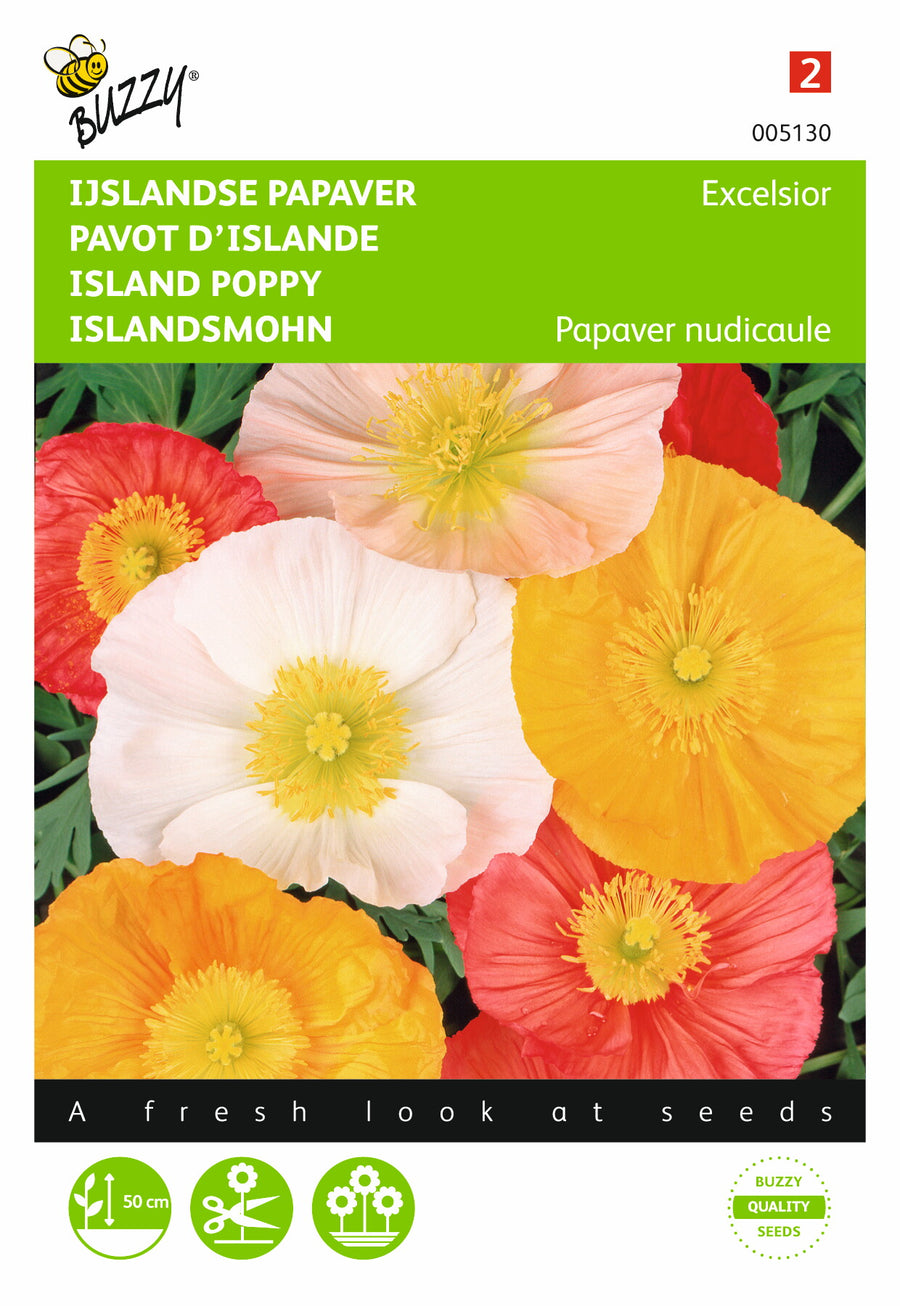 Papaver, IJslandse Excelsior gemengd