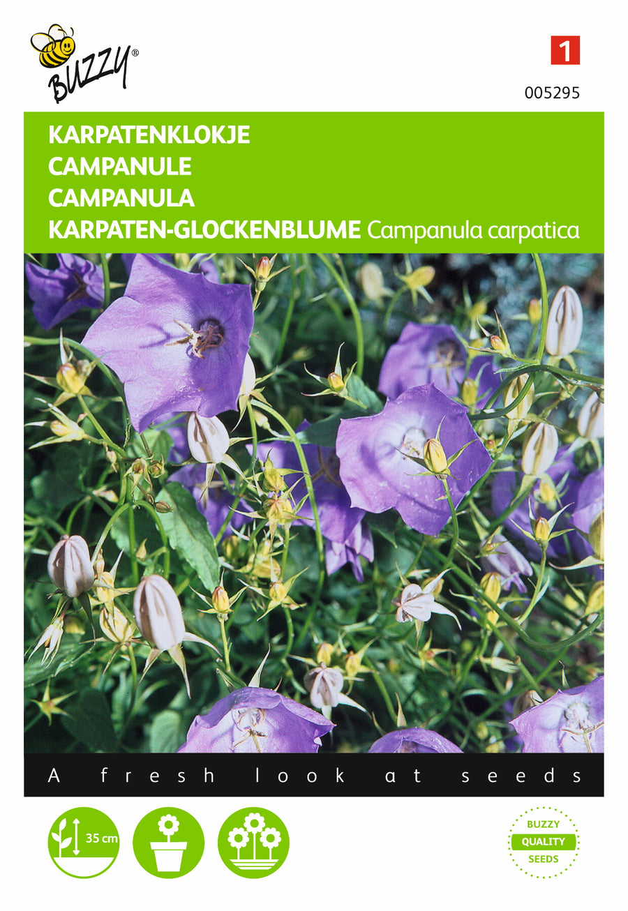 Campanula, Karpatenklokje Blauw