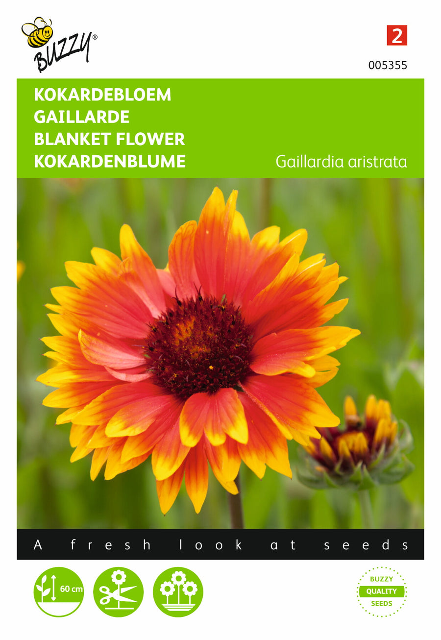 Gaillardia, Kokardebloem