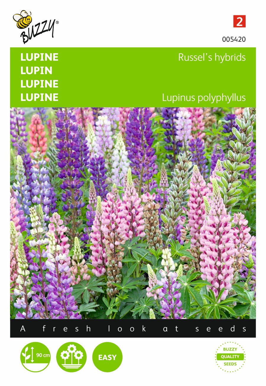 Lupinus, Lupine Russel’s Hybrids gemengd