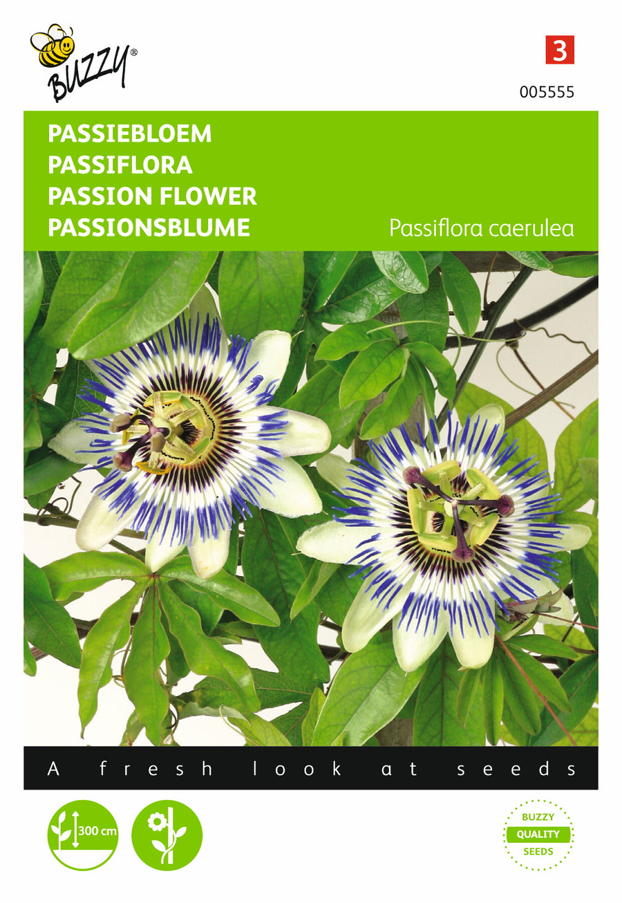 Passiflora, Passiebloem