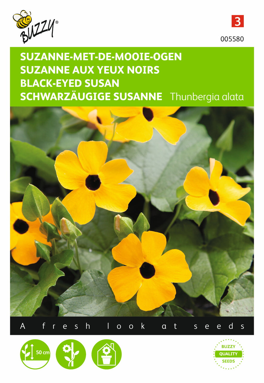 Thunbergia, Suzanne-met-de-mooie-ogen