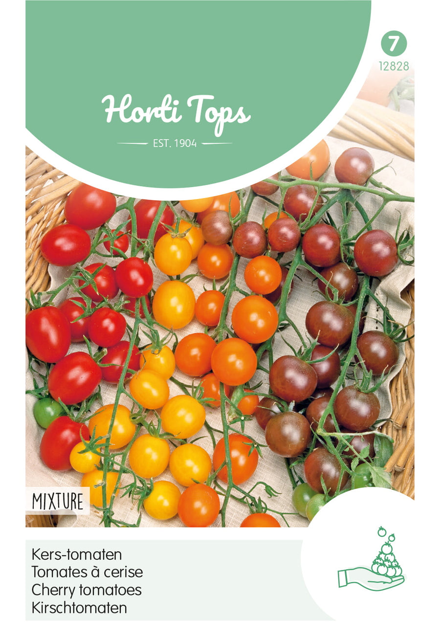 Tomaten Cherry - 4 kleuren