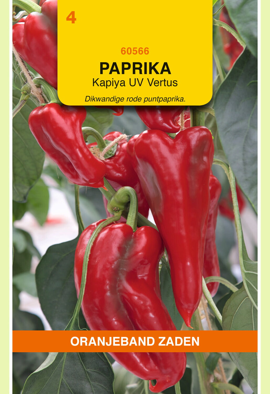 Paprika Rode Punt Kapiya