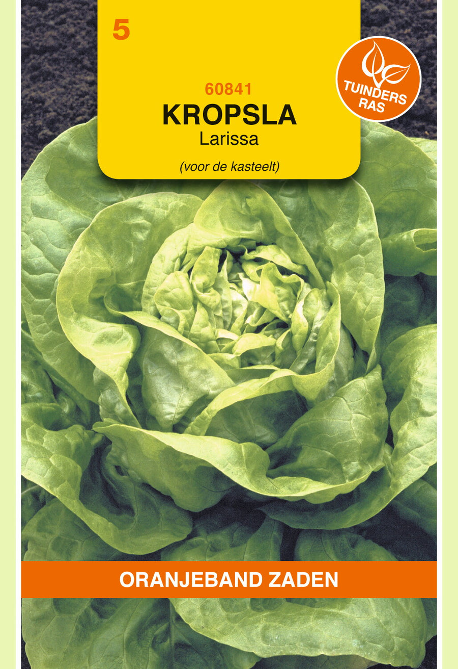 Kropsla Larissa - Kassla-