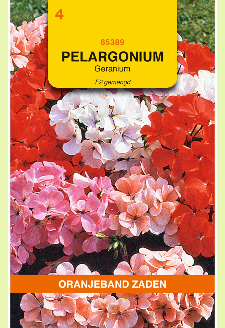 Pelargonium, Geranium F2 gemengd